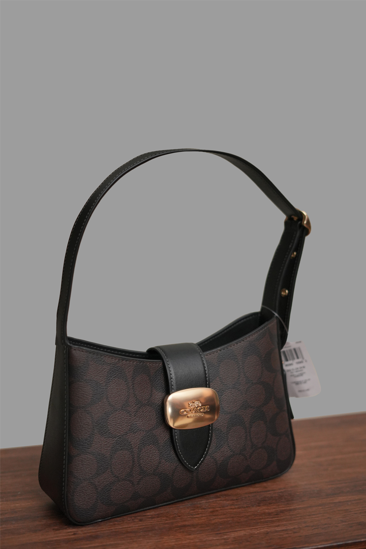 Coach Signature Bag