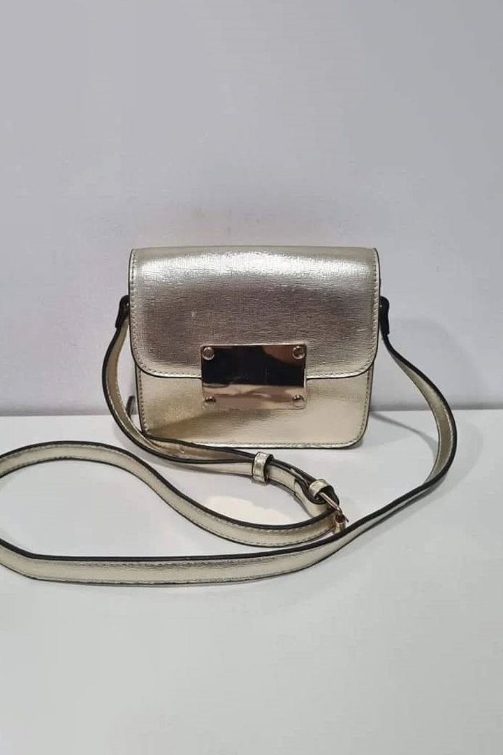 Aldo Mini Clutch