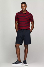 Load image into Gallery viewer, Regular Fit Stripe Wicking Polo

