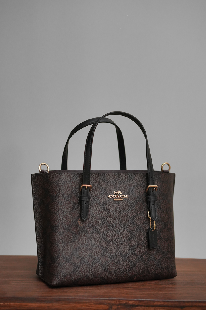 Coach Signature Bag