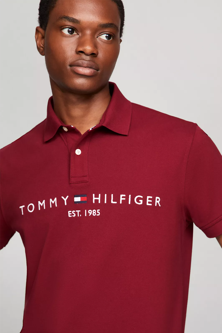 Embroidered Tommy Graphic Polo