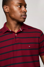Load image into Gallery viewer, Regular Fit Stripe Wicking Polo

