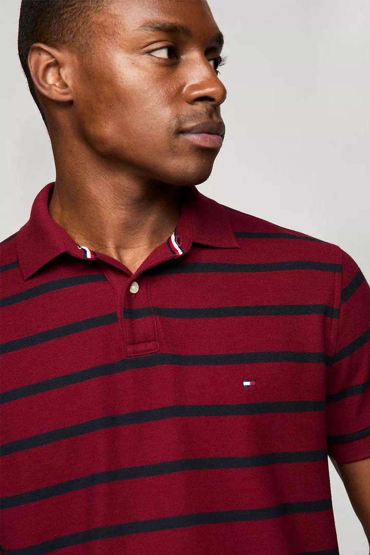Regular Fit Stripe Wicking Polo