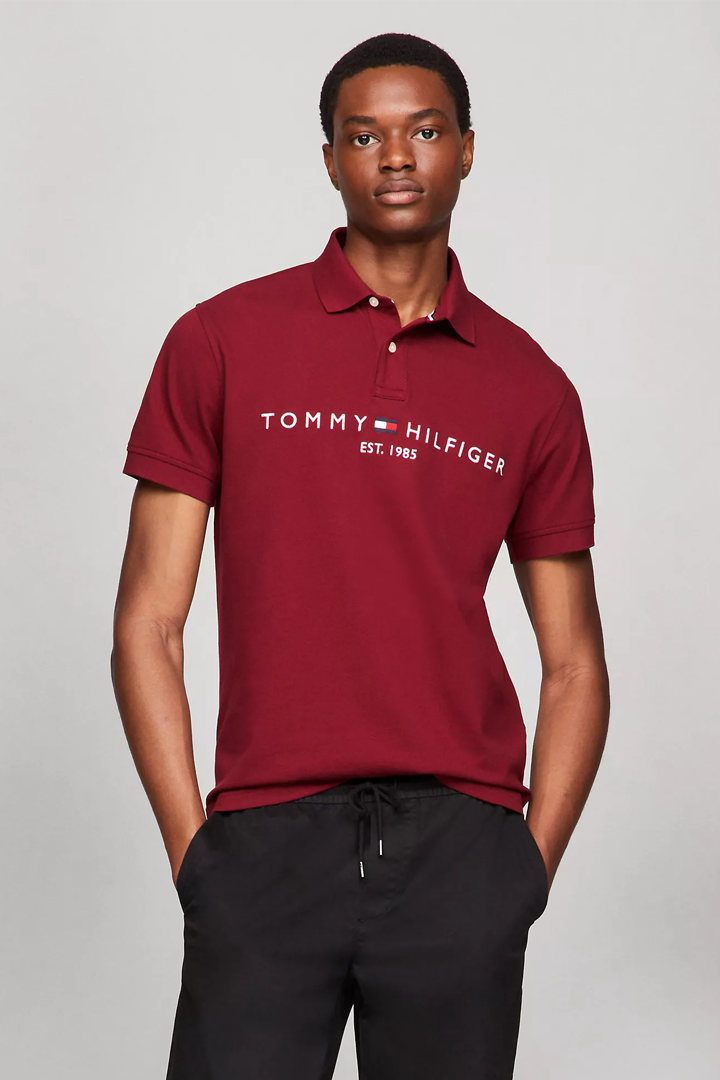 Embroidered Tommy Graphic Polo