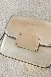 Aldo Mini Clutch